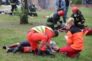 21.05.2015 r. Ćwiczenia w Starym Oleśnie_41