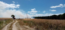 03.07.2019 Skrońsko_1