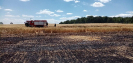 03.07.2019 Skrońsko_3
