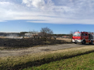 10.03.2020 Kolonia Biskupska_2