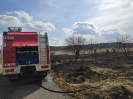 10.03.2020 Kolonia Biskupska_3