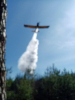 11.04.2020 Grodzisko_1
