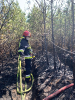 11.04.2020 Grodzisko_2