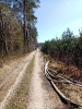 11.04.2020 Grodzisko_3