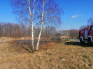 17.03.2020 Cieciułów_2