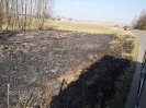 17.03.2020 Cieciułów_4