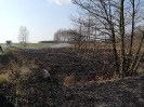 17.03.2020 Cieciułów_5