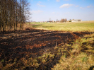 17.03.2020 Cieciułów_6