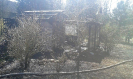 17.04.2019 Przedmosć_2