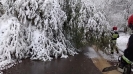 18/19.04.2017 r. usuwanie skutków śnieżycy_27