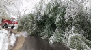 18/19.04.2017 r. usuwanie skutków śnieżycy_29