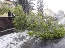 18/19.04.2017 r. usuwanie skutków śnieżycy_2