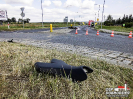 29.08.2017 r. Dobrodzień DK 46_3