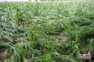30_07_2016_ Dobrodzień_Zębowice_18