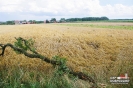 30_07_2016_ Dobrodzień_Zębowice_19