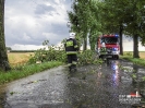 30_07_2016_ Dobrodzień_Zębowice_1