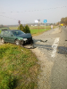 Kocury-23.10.2019