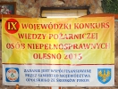 Turniej_WTZ_2015_11