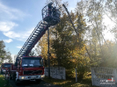Turza15.10.2019