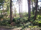 Usuwanie skutków gwałtownych burz lipiec 2015_16
