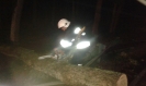 Usuwanie skutków gwałtownych burz lipiec 2015_22