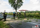 Usuwanie skutków gwałtownych burz lipiec 2015_2