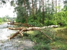 Usuwanie skutków gwałtownych burz lipiec 2015_5