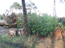 Usuwanie skutków gwałtownych burz lipiec 2015_9
